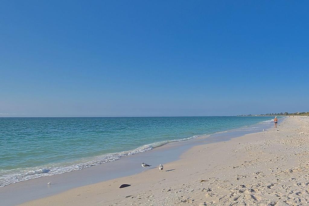 A Beach Retreat On Casey Key Nokomis Extérieur photo
